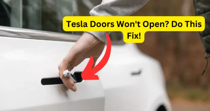 Tesla Doors Won't Open