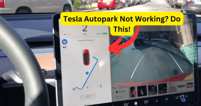 Tesla Autopark Not Working