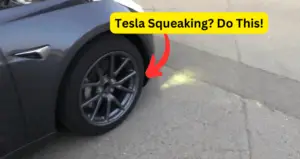 Tesla Squeaking? Do This!