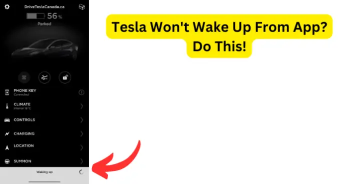 Tesla Won't Wake Up From App