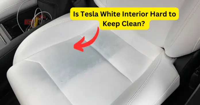 Is Tesla White Interior Hard to Keep Clean? 