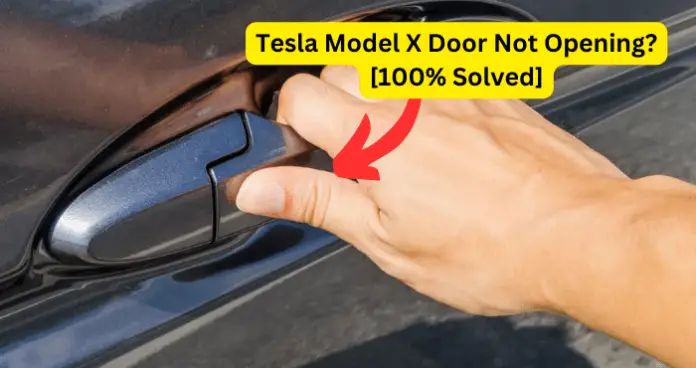 Tesla Model X Door Not Opening