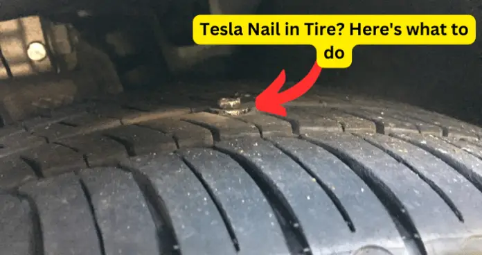 Tesla Nail in Tire